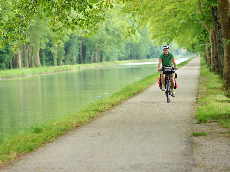Bike ride under the plane trees of the Garonne Canal