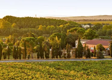 DOMAINE DE L'HERBE SAINTE