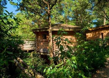 LES CABANES DANS LES BOIS