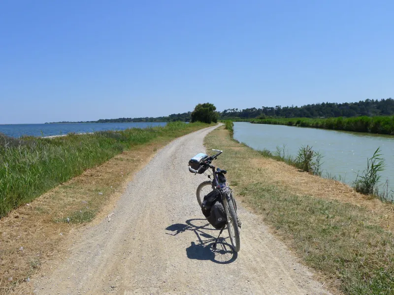 In the middle of the ponds on the Canal de la Robine