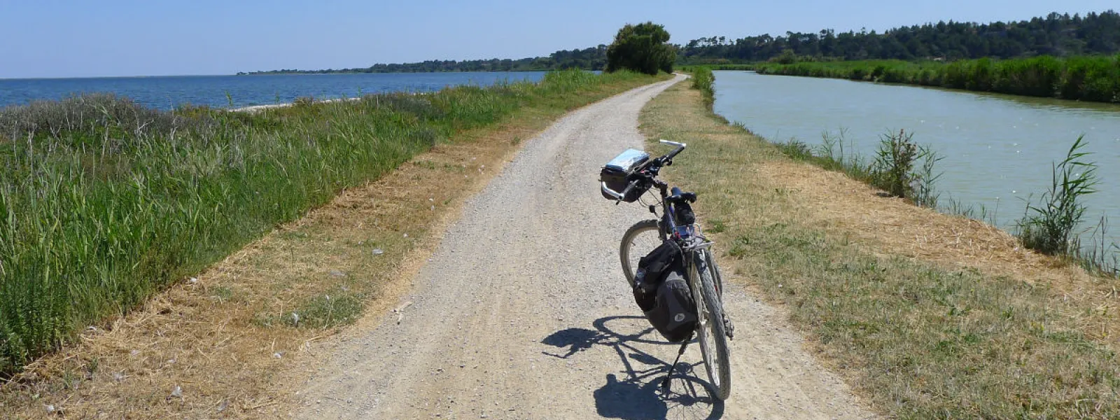 In the middle of the ponds on the Canal de la Robine