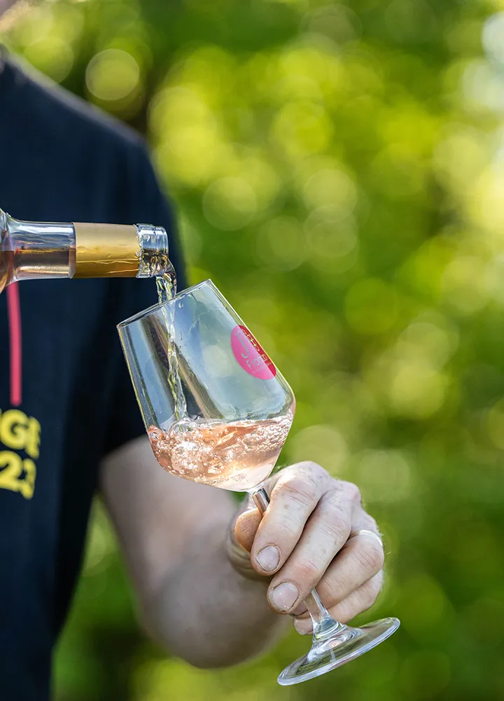 Domaine Bois de Devès 2