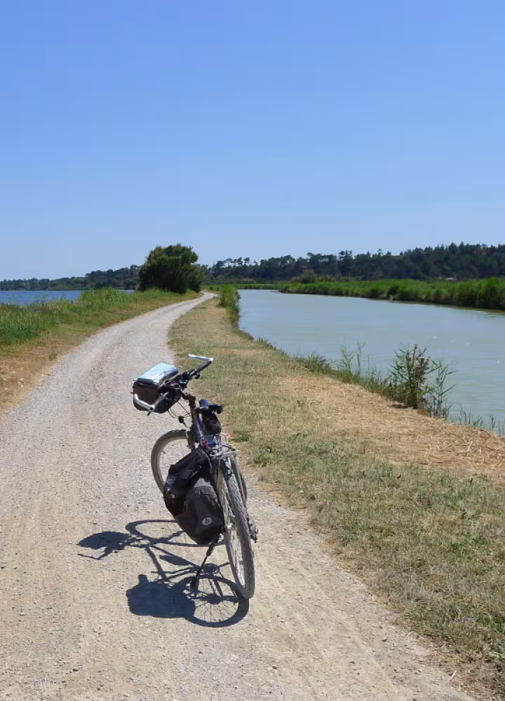 In the middle of the ponds on the Canal de la Robine