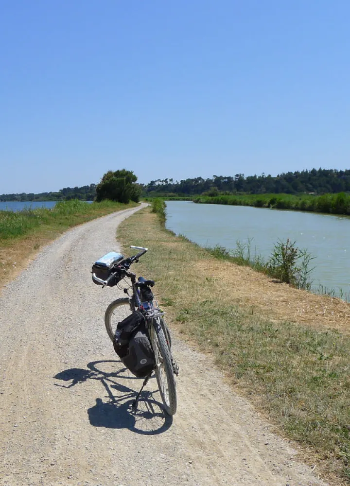 In the middle of the ponds on the Canal de la Robine