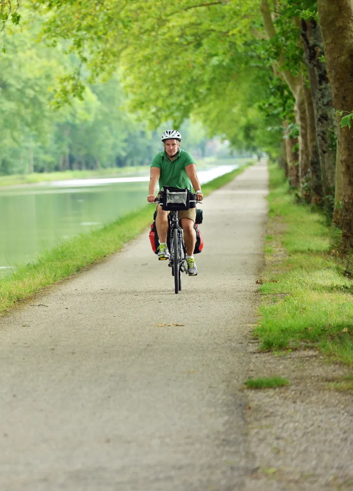 Bike ride under the plane trees of the Garonne Canal