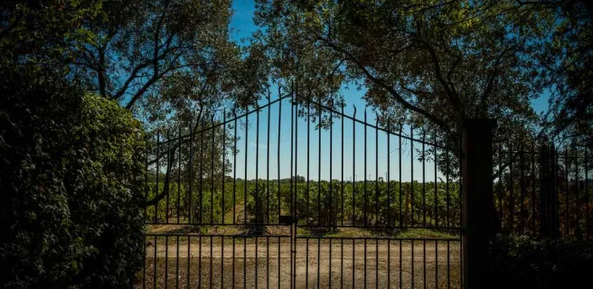 DOMAINE PREIGNES LE VIEUX