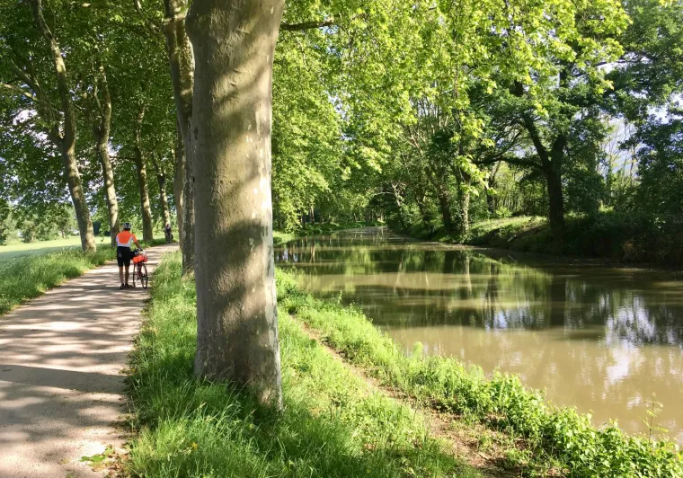 Sous les platanes du canal de Garonne