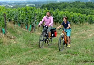 A vélo entre les vignobles