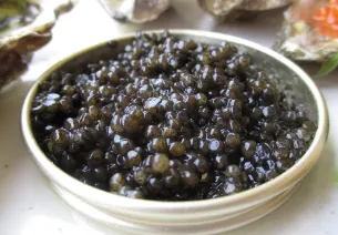 Caviar and sturgeon