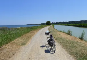 In the middle of the ponds on the Canal de la Robine