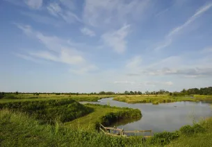 L'île Nouvelle