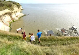 Les falaises de Meshers au bord de l'estuaire 