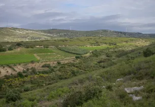 Pays de Thau – Destination Vignobles et Découvertes