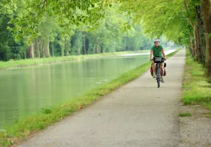 Bike ride under the plane trees of the Garonne Canal