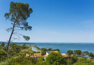 L'Île de Sainte Lucie - Roc Saint-Antoine
