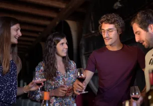 Dégustation aux vignobles de la Via Domitia