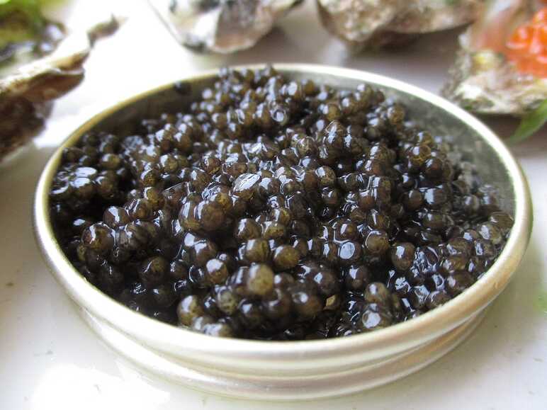Caviar and sturgeon
