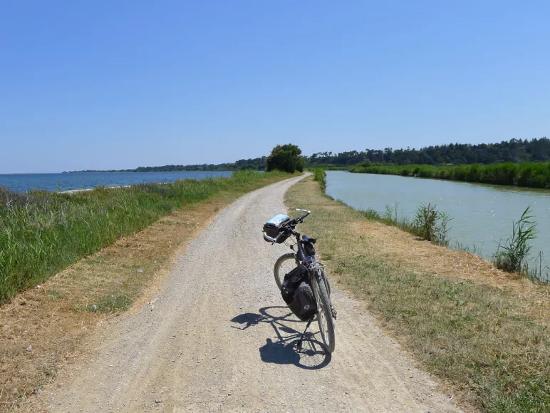 In the middle of the ponds on the Canal de la Robine
