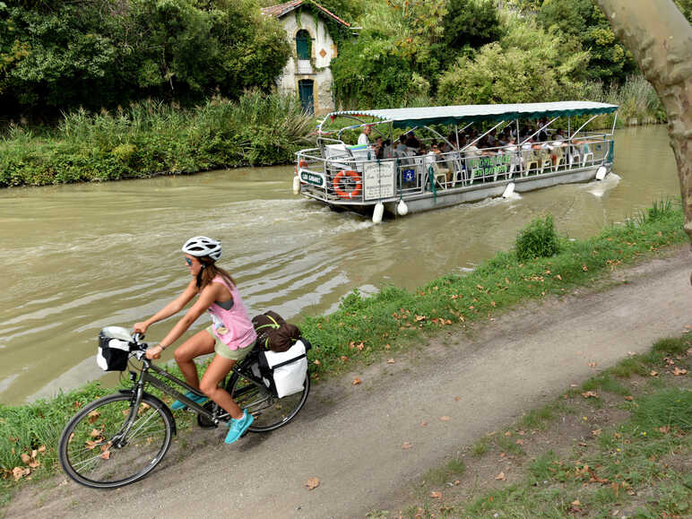 Le long du Canal du Midi à vélo entre Carcassonne et Trèbes
